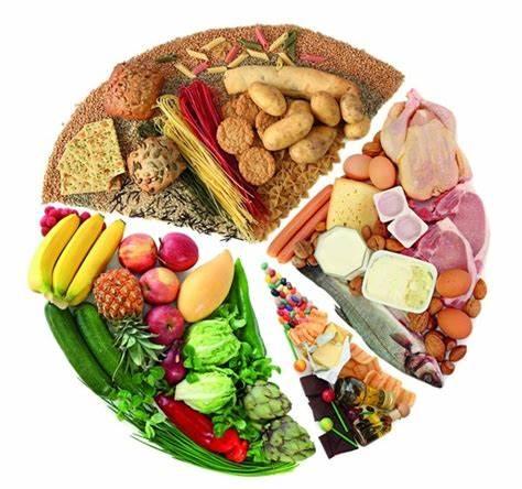 A balanced diet✅ ensures that you get all the necessary nutrients for your body. - WISHCA