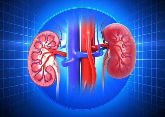 We say when the serum creatinine exceeds two hundred and sixty-five umol per liter it is the watershed of kidney disease staging. - WISHCA